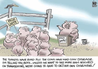 swine flu cartoon