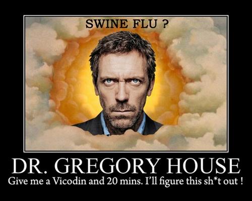 swine flu dr house