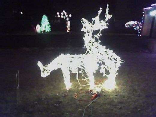humping reindeer