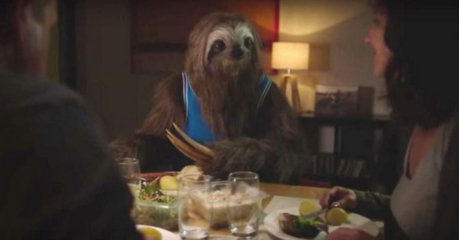 Stoner Sloth