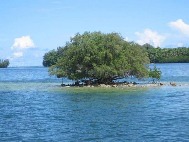 South Talpatti/New Moore Island in Bay of Bengal
