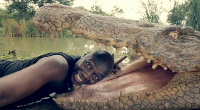 Crocodile Selfie Fail