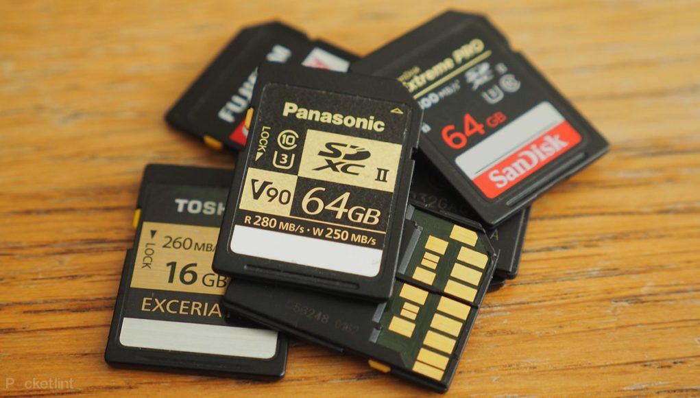 What is an SD card, and What Does it Do? - Weird Worm