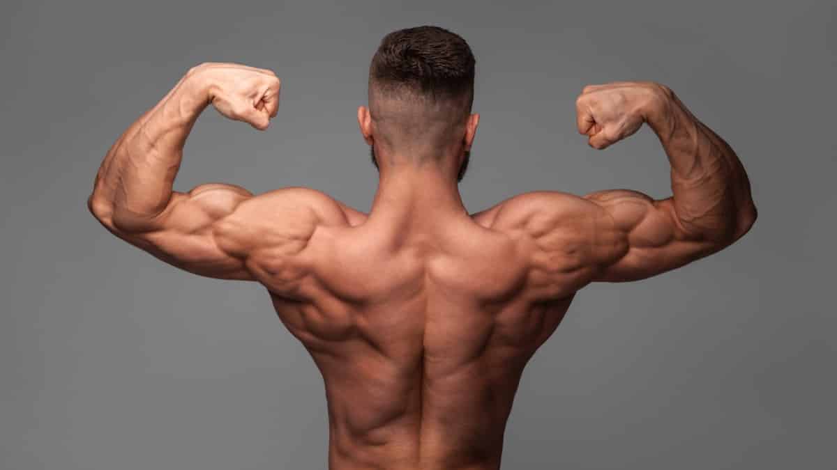 Die zehn Gebote von fettverbrennung bodybuilding