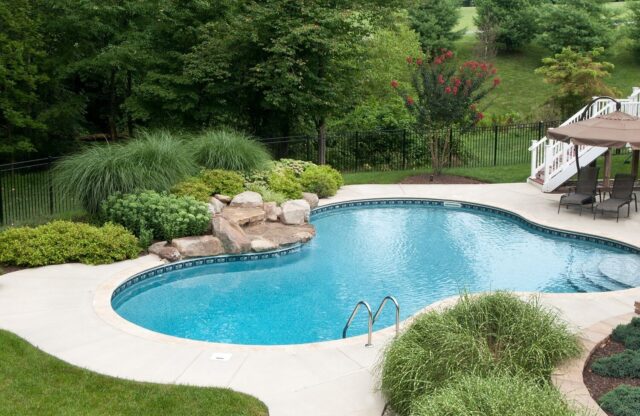 Top 6 Diy Swimming Pool Tips For Homeowners Weird Worm